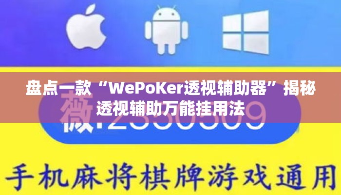 盘点一款“WePoKer透视辅助器”揭秘透视辅助万能挂用法