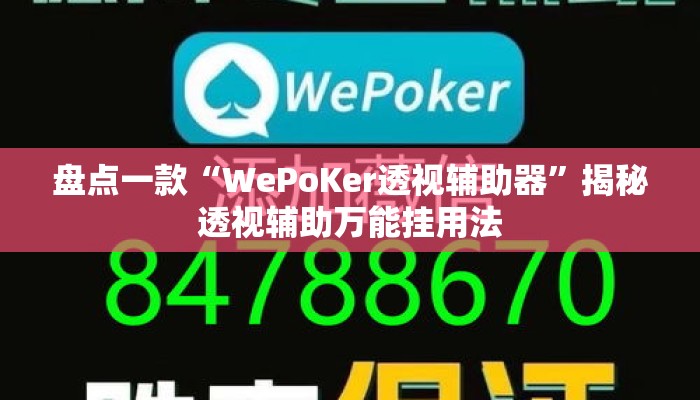 盘点一款“WePoKer透视辅助器”揭秘透视辅助万能挂用法