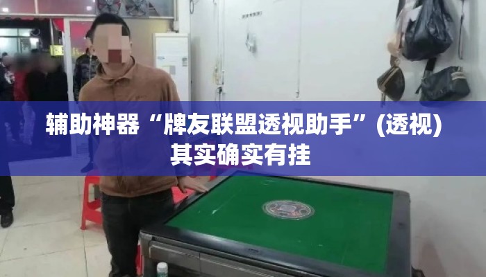 辅助神器“牌友联盟透视助手”(透视)其实确实有挂 