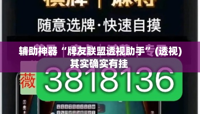 辅助神器“牌友联盟透视助手”(透视)其实确实有挂 