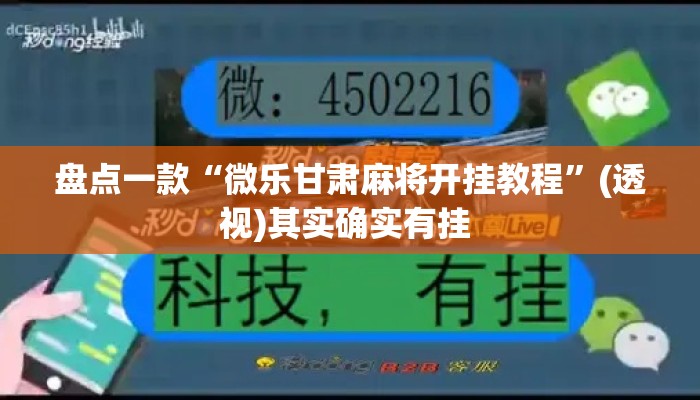 盘点一款“微乐甘肃麻将开挂教程”(透视)其实确实有挂 