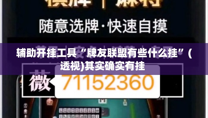 辅助开挂工具“牌友联盟有些什么挂”(透视)其实确实有挂 