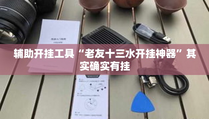 辅助开挂工具“老友十三水开挂神器	”其实确实有挂