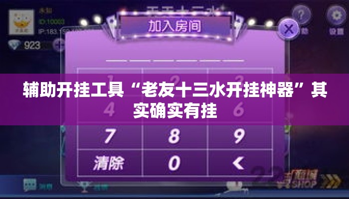 辅助开挂工具“老友十三水开挂神器”其实确实有挂
