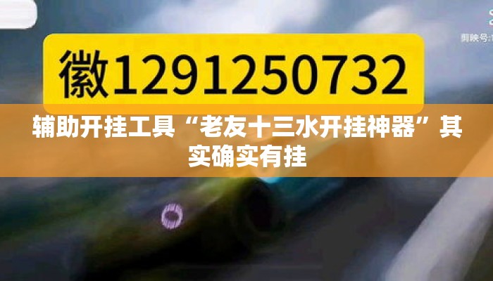 辅助开挂工具“老友十三水开挂神器”其实确实有挂