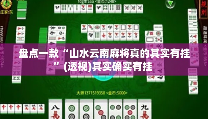 盘点一款“山水云南麻将真的其实有挂”(透视)其实确实有挂 