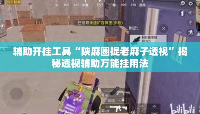 辅助开挂工具“陕麻圈捉老麻子透视	”揭秘透视辅助万能挂用法