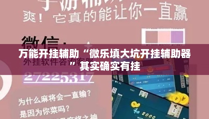 万能开挂辅助“微乐填大坑开挂辅助器”其实确实有挂