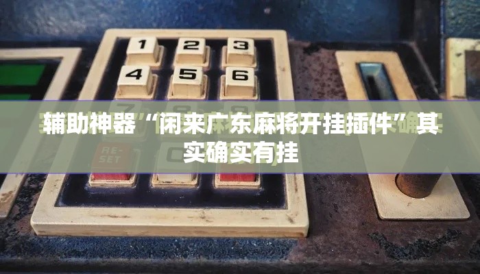 辅助神器“闲来广东麻将开挂插件”其实确实有挂