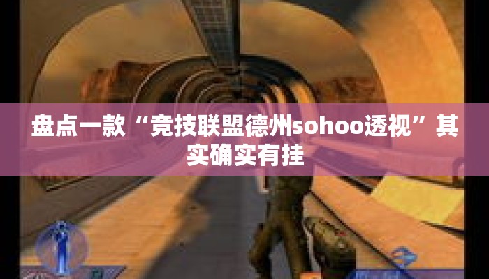 盘点一款“竞技联盟德州sohoo透视	”其实确实有挂
