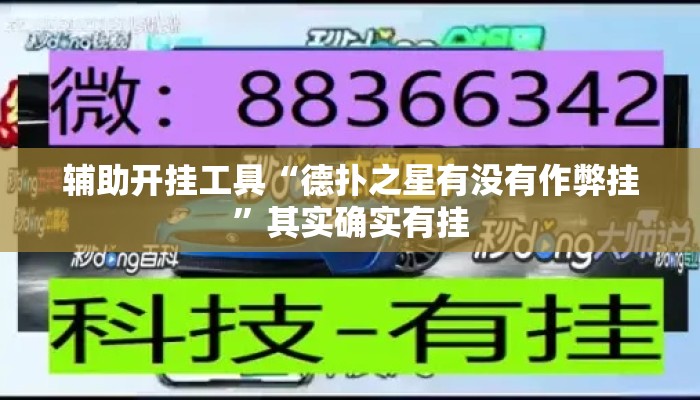 辅助开挂工具“德扑之星有没有作弊挂	”其实确实有挂