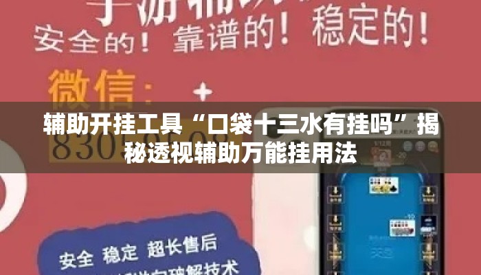 辅助开挂工具“口袋十三水有挂吗”揭秘透视辅助万能挂用法