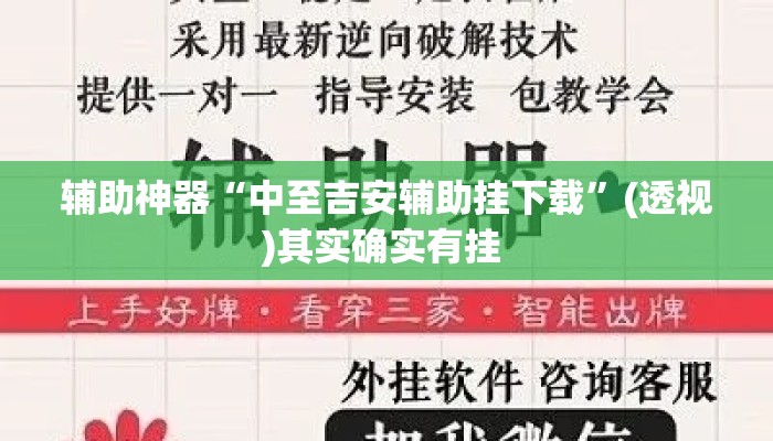 辅助神器“中至吉安辅助挂下载”(透视)其实确实有挂 