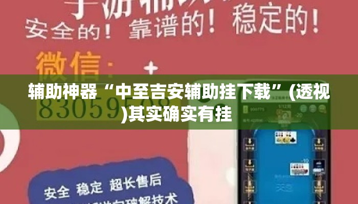 辅助神器“中至吉安辅助挂下载	”(透视)其实确实有挂 