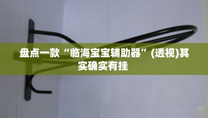 盘点一款“临海宝宝辅助器	”(透视)其实确实有挂 