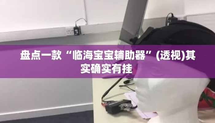 盘点一款“临海宝宝辅助器	”(透视)其实确实有挂 