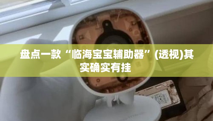 盘点一款“临海宝宝辅助器”(透视)其实确实有挂 
