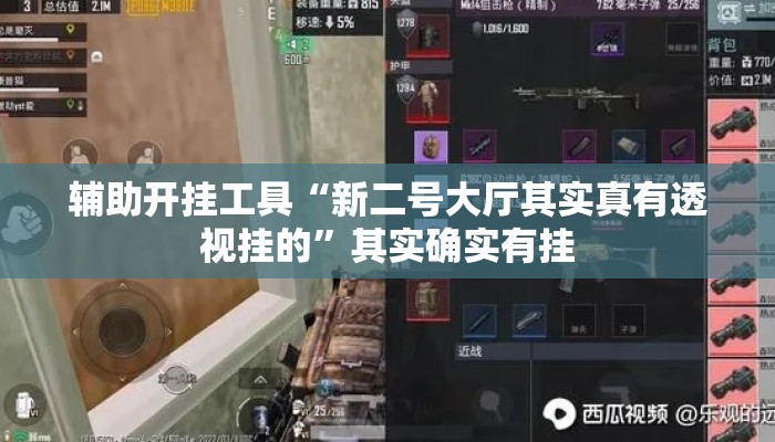 辅助开挂工具“新二号大厅其实真有透视挂的”其实确实有挂