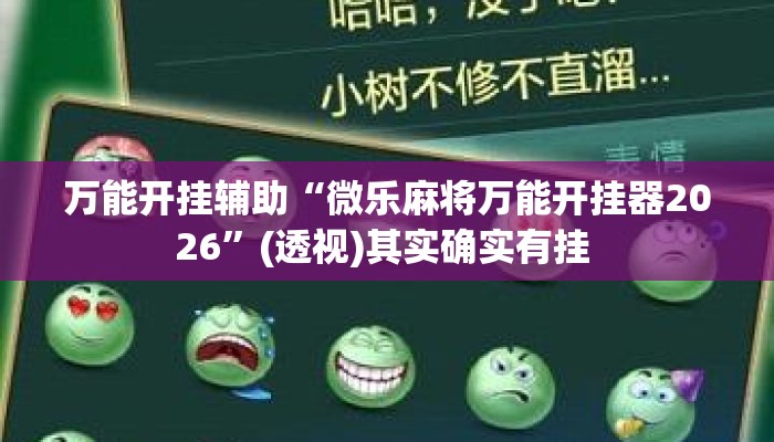 万能开挂辅助“微乐麻将万能开挂器2026”(透视)其实确实有挂 