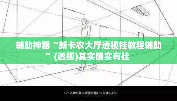 辅助神器“新卡农大厅透视挂教程辅助	”(透视)其实确实有挂 