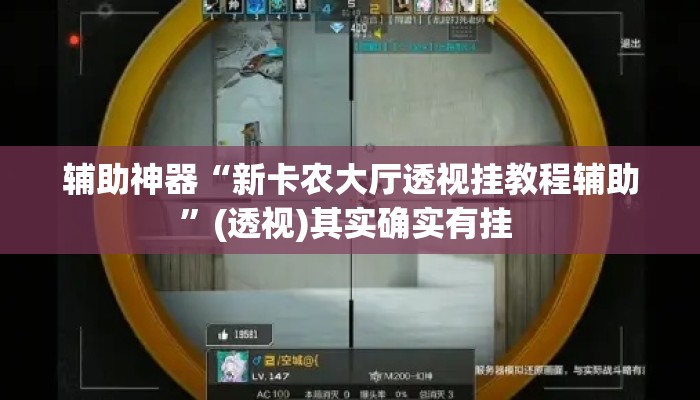 辅助神器“新卡农大厅透视挂教程辅助”(透视)其实确实有挂 