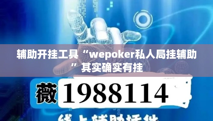 辅助开挂工具“wepoker私人局挂辅助”其实确实有挂
