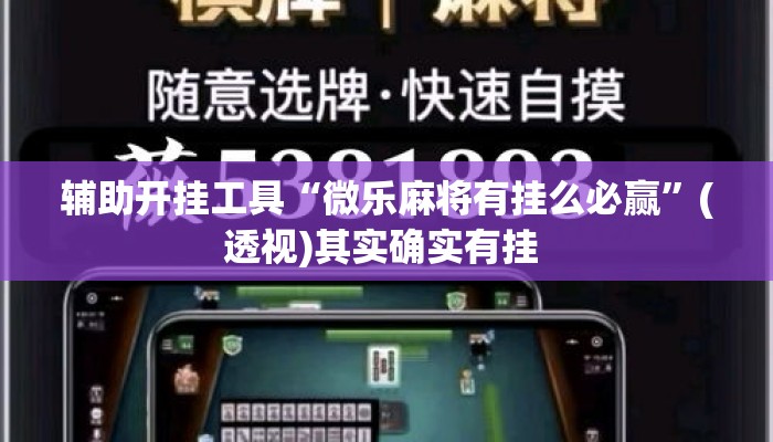 辅助开挂工具“微乐麻将有挂么必赢	”(透视)其实确实有挂 