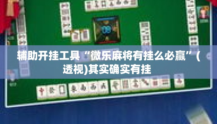 辅助开挂工具“微乐麻将有挂么必赢”(透视)其实确实有挂 