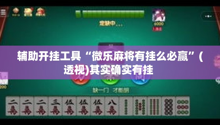 辅助开挂工具“微乐麻将有挂么必赢”(透视)其实确实有挂 