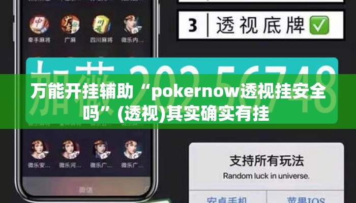 万能开挂辅助“pokernow透视挂安全吗”(透视)其实确实有挂 