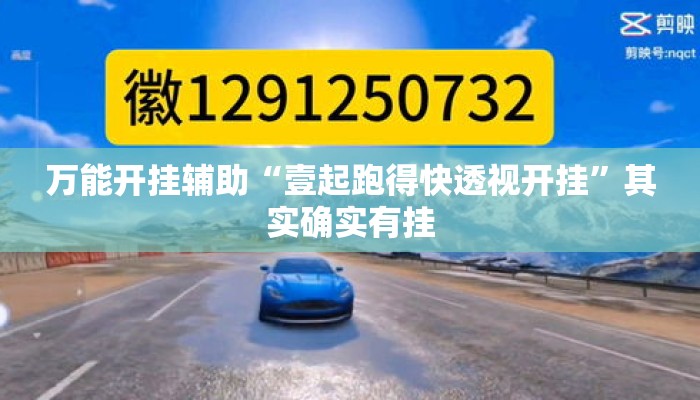 万能开挂辅助“壹起跑得快透视开挂”其实确实有挂