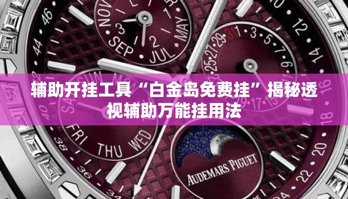 辅助开挂工具“白金岛免费挂	”揭秘透视辅助万能挂用法