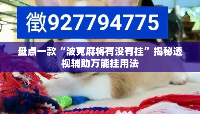 盘点一款“波克麻将有没有挂”揭秘透视辅助万能挂用法