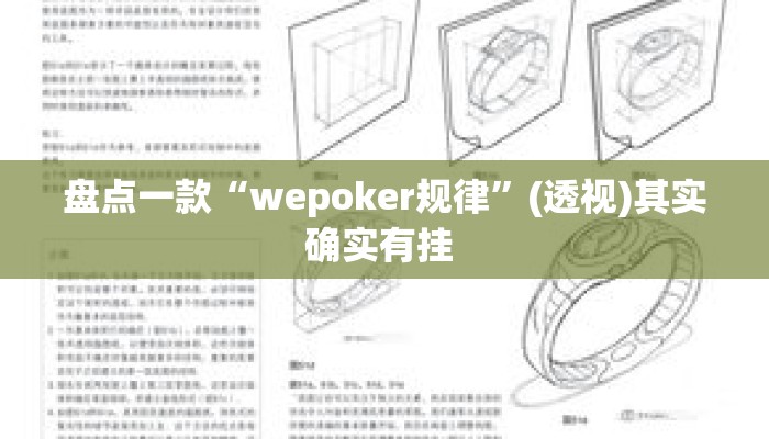 盘点一款“wepoker规律	”(透视)其实确实有挂 