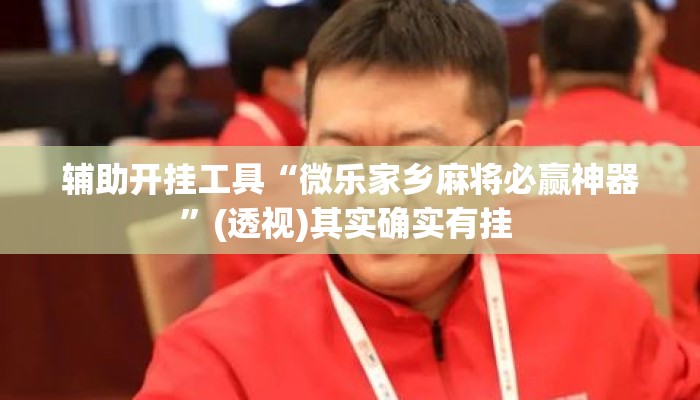 辅助开挂工具“微乐家乡麻将必赢神器	”(透视)其实确实有挂 