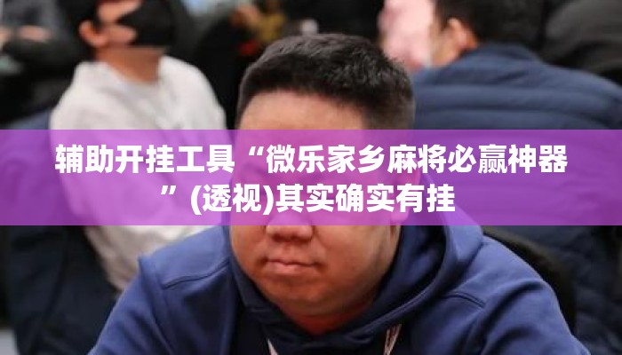 辅助开挂工具“微乐家乡麻将必赢神器	”(透视)其实确实有挂 