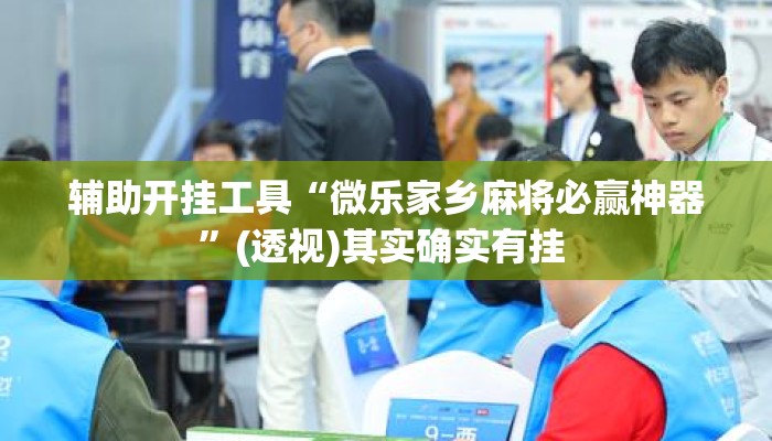 辅助开挂工具“微乐家乡麻将必赢神器”(透视)其实确实有挂 