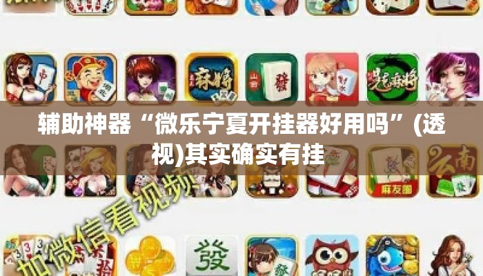辅助神器“微乐宁夏开挂器好用吗	”(透视)其实确实有挂 