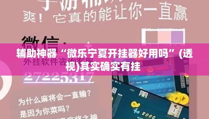 辅助神器“微乐宁夏开挂器好用吗”(透视)其实确实有挂 