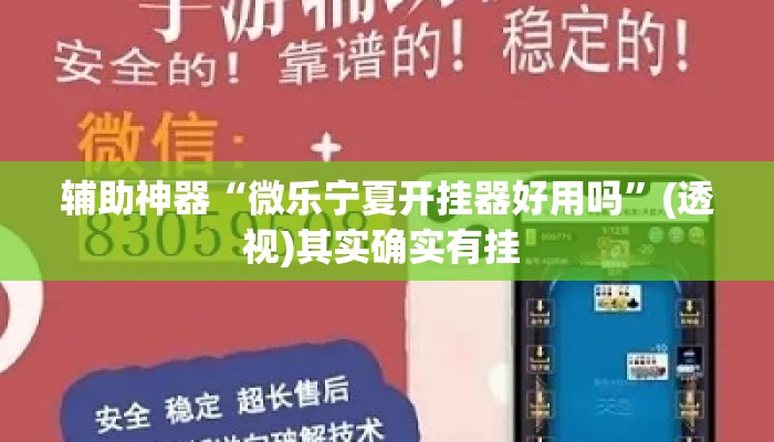 辅助神器“微乐宁夏开挂器好用吗	”(透视)其实确实有挂 