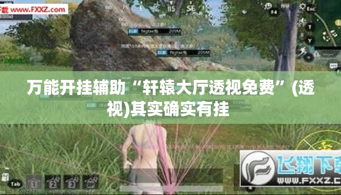 万能开挂辅助“轩辕大厅透视免费”(透视)其实确实有挂 