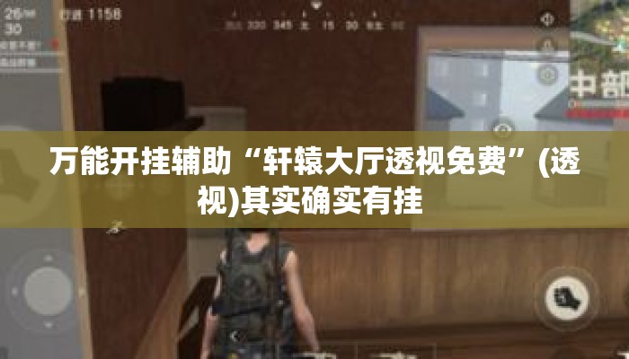 万能开挂辅助“轩辕大厅透视免费”(透视)其实确实有挂 