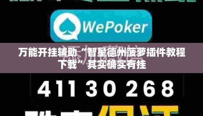 万能开挂辅助“智星德州菠萝插件教程下载	”其实确实有挂