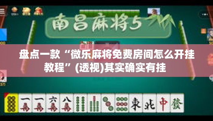 盘点一款“微乐麻将免费房间怎么开挂教程”(透视)其实确实有挂 