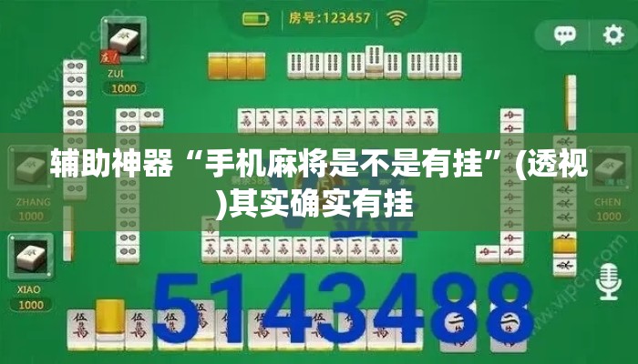 辅助神器“手机麻将是不是有挂	”(透视)其实确实有挂 