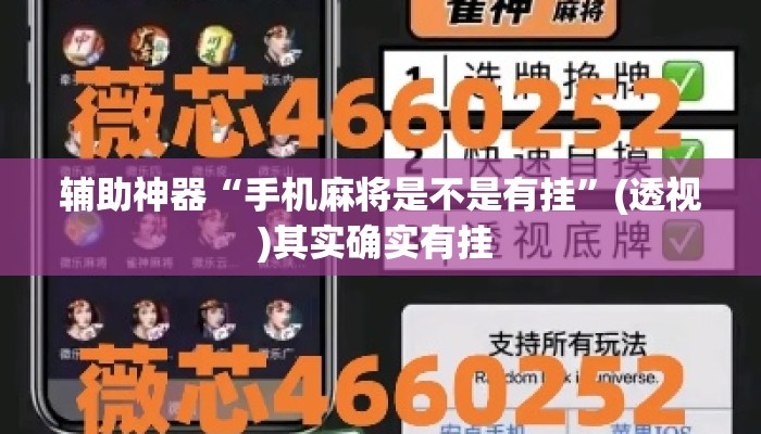 辅助神器“手机麻将是不是有挂”(透视)其实确实有挂 