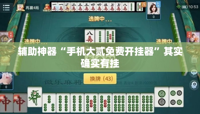 辅助神器“手机大贰免费开挂器	”其实确实有挂