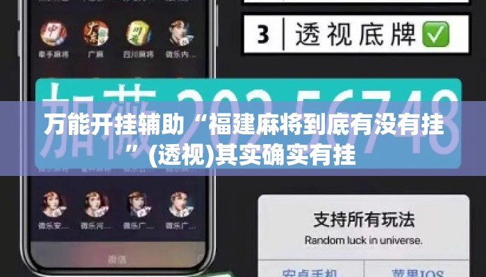 万能开挂辅助“福建麻将到底有没有挂	”(透视)其实确实有挂 