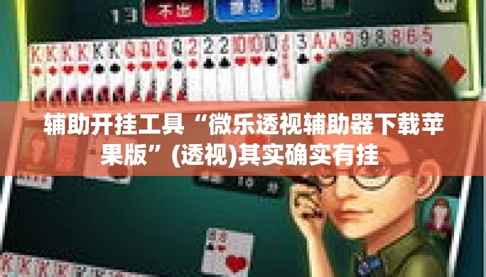 辅助开挂工具“微乐透视辅助器下载苹果版”(透视)其实确实有挂 