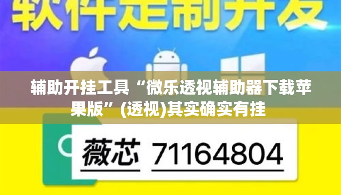 辅助开挂工具“微乐透视辅助器下载苹果版”(透视)其实确实有挂 
